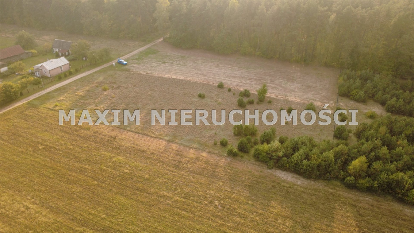 Malownicza działka budowlana (3 001 m²) w Przepitk - Widok 4