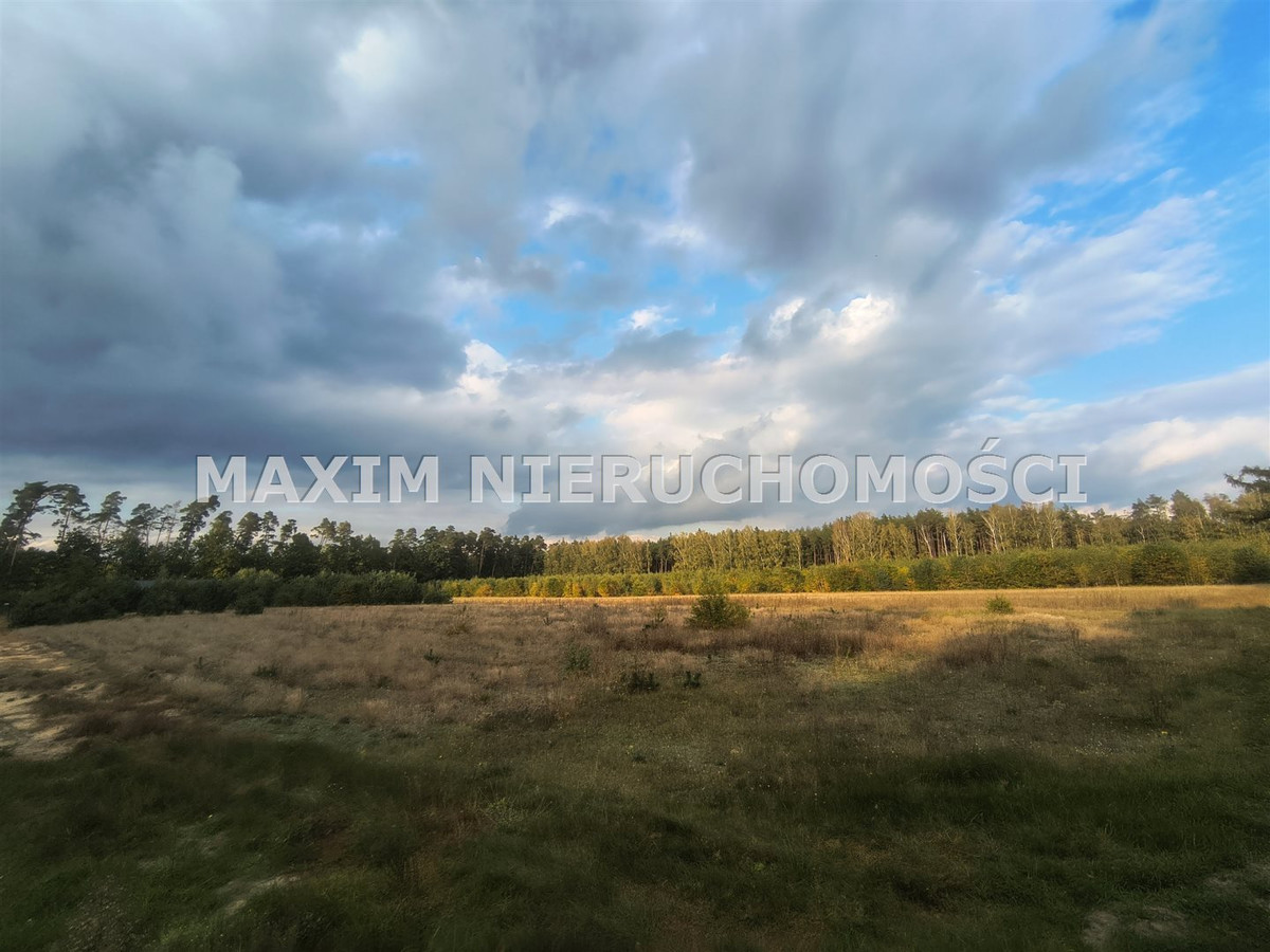 Malownicza działka budowlana (3 001 m²) w Przepitk - Widok 5