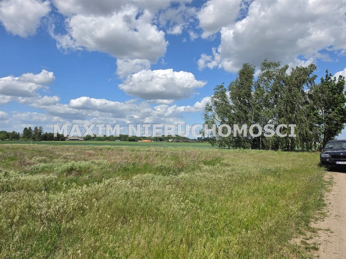 Działka 0,60 ha w Siedlinie k/Płońska - Widok 5