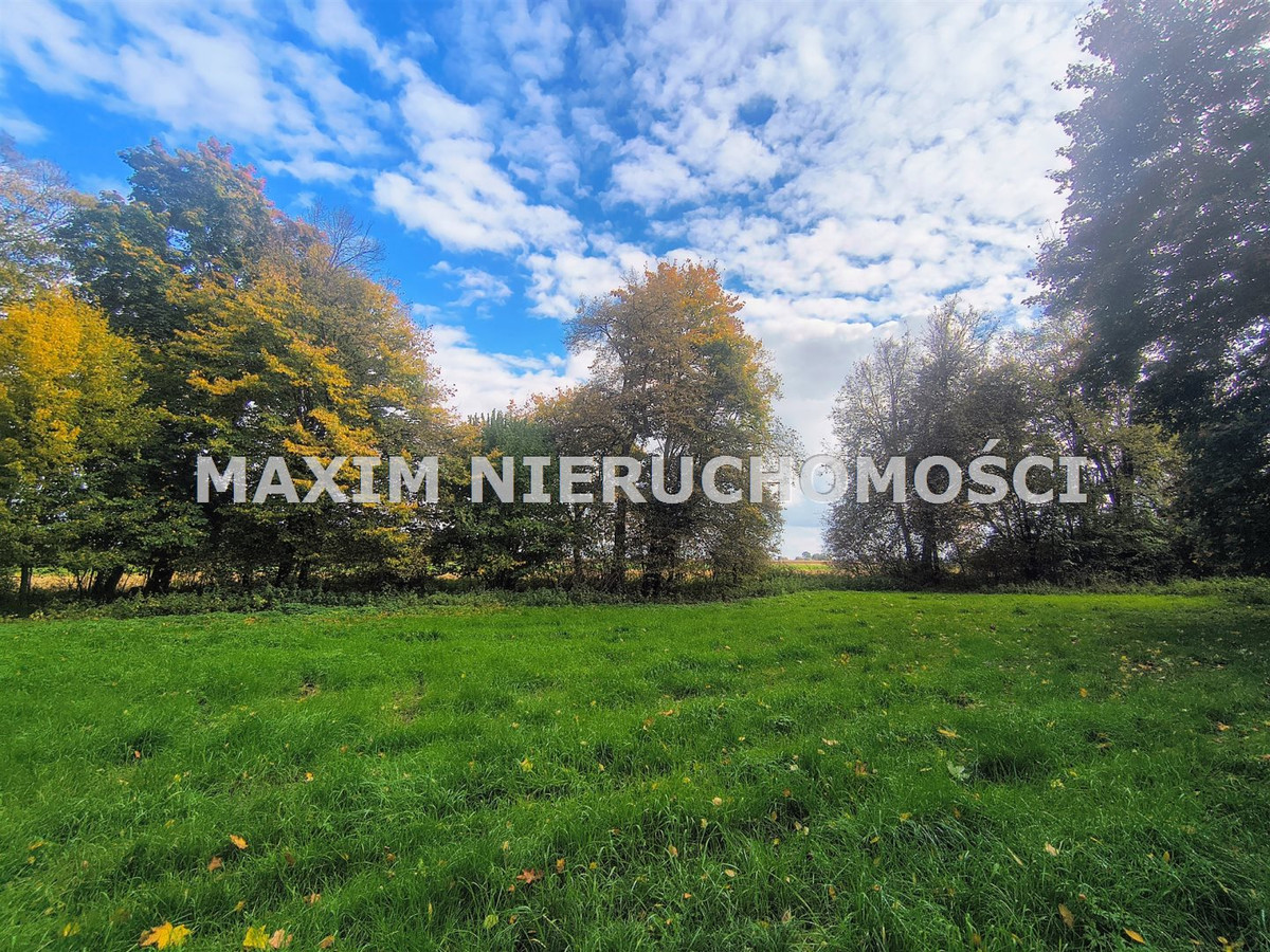 Park Podworski Kiełki – Rezydencja z Historią - Widok 3