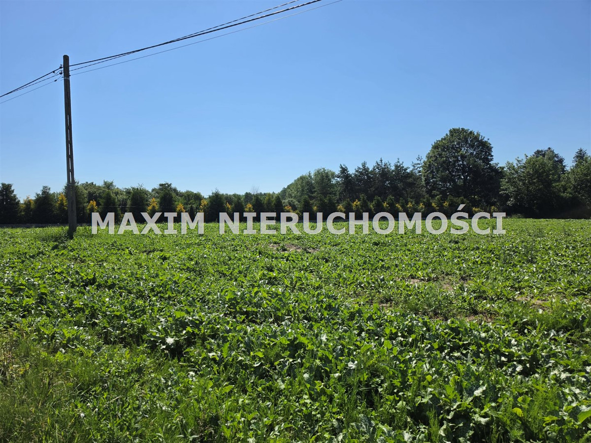 Działki z WZ Modzele Bartłomieje k/Nowe Miasto - Widok 4