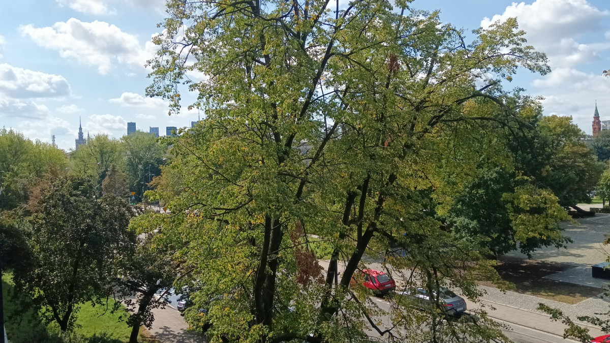 Mieszkanie – Warszawa, Muranów, Śródmieście - Widok 5