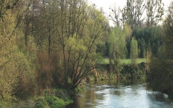 NAD RZEKĄ BZURĄ - Widok 2