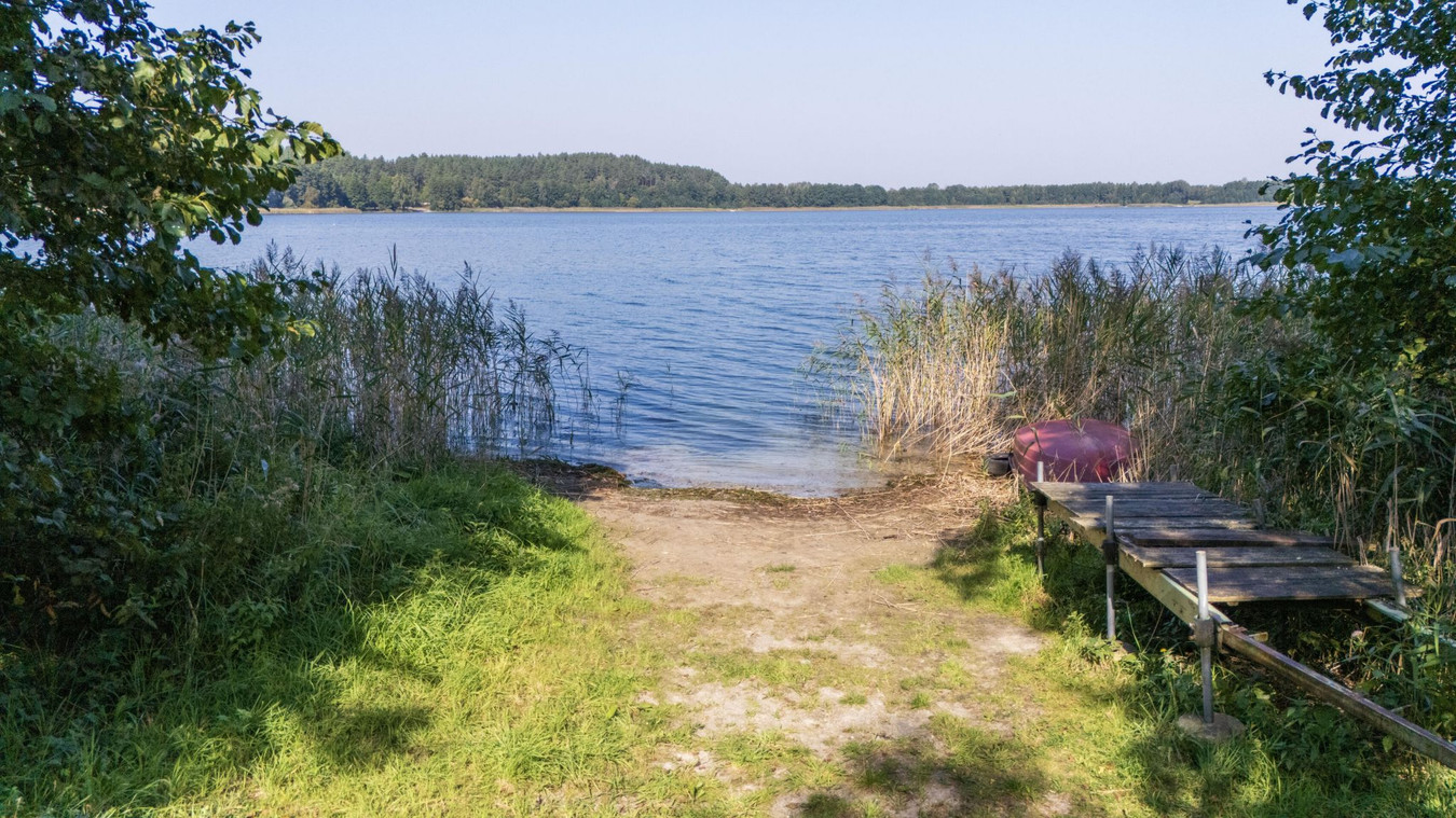 Działki rekreacyjna - 170m od jeziora Świętajno - Widok 5
