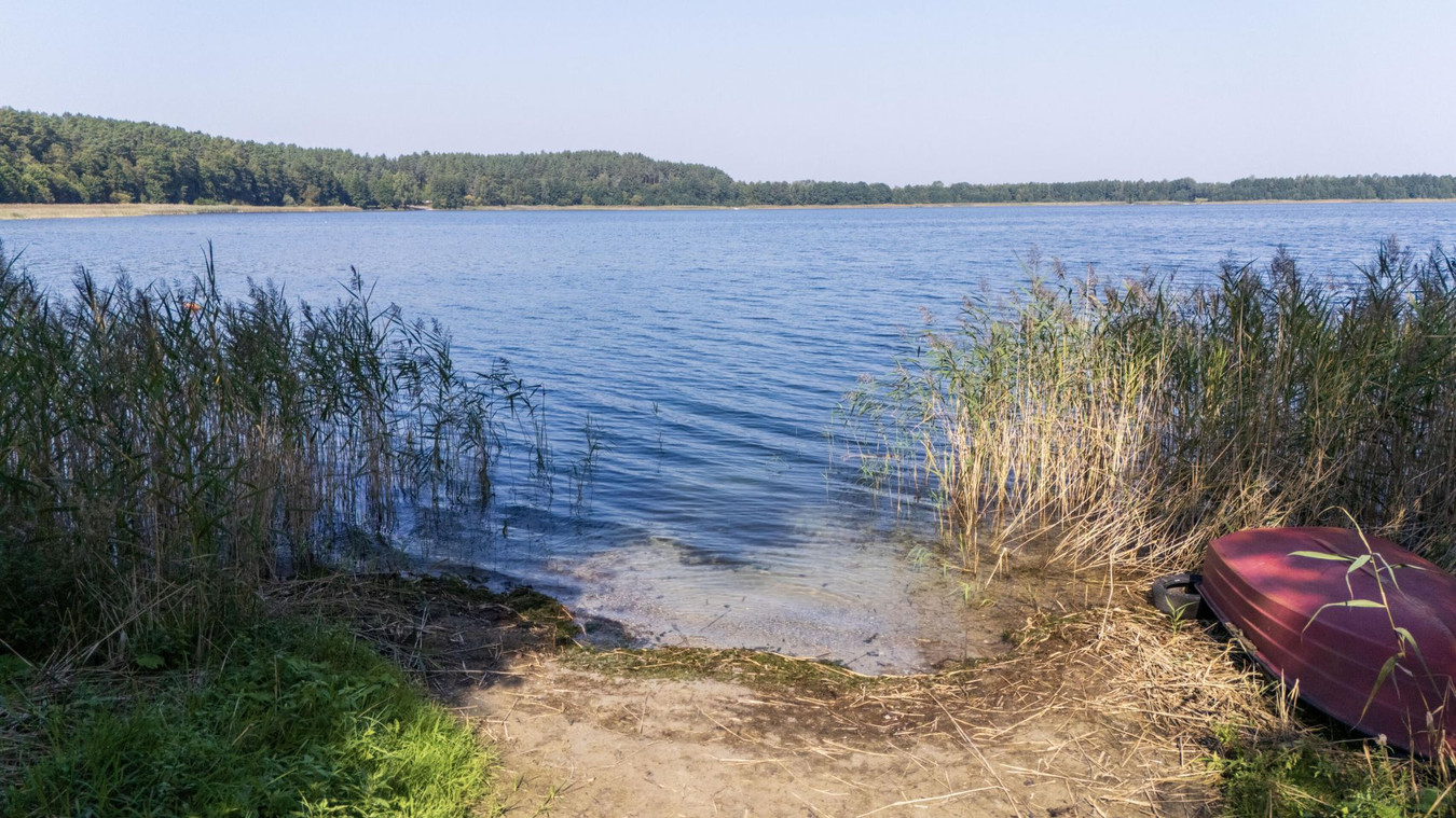 Działki rekreacyjna - 170m od jeziora Świętajno - Więcej