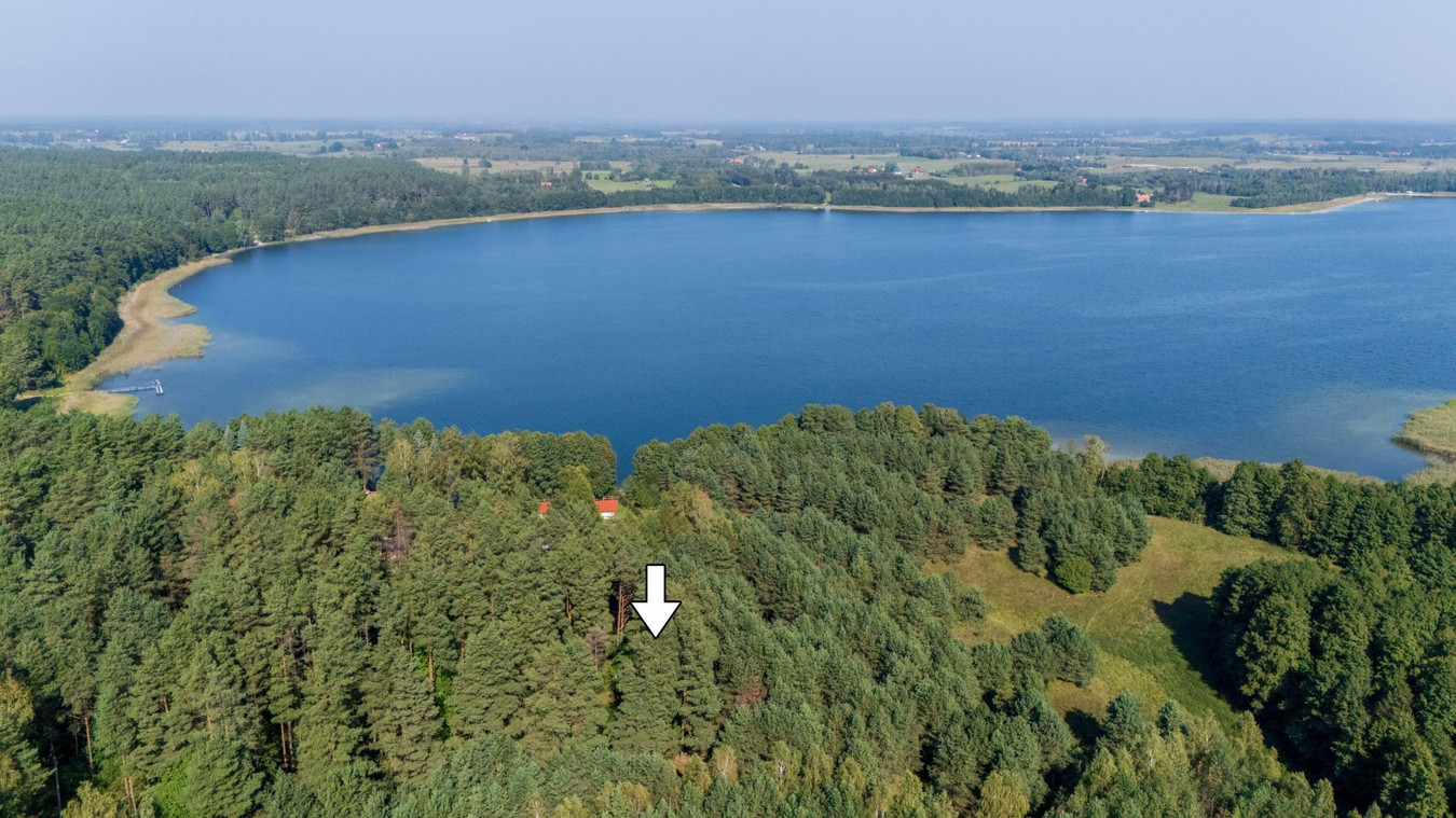 Działki rekreacyjna - 170m od jeziora Świętajno - Widok 2