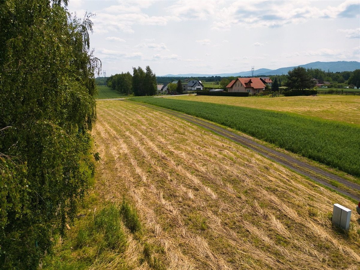 W mieście, a jak na wsi - Widok 3