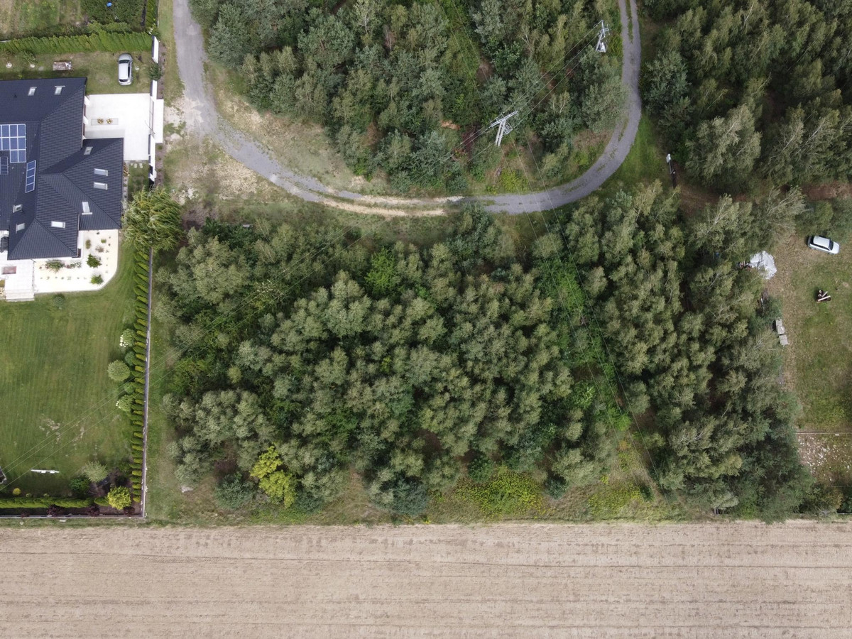 DZIAŁKA BUDOWLANA 2734 m² | MPZP | MEDIA | ZAŁUSKI | S7 - Widok 2