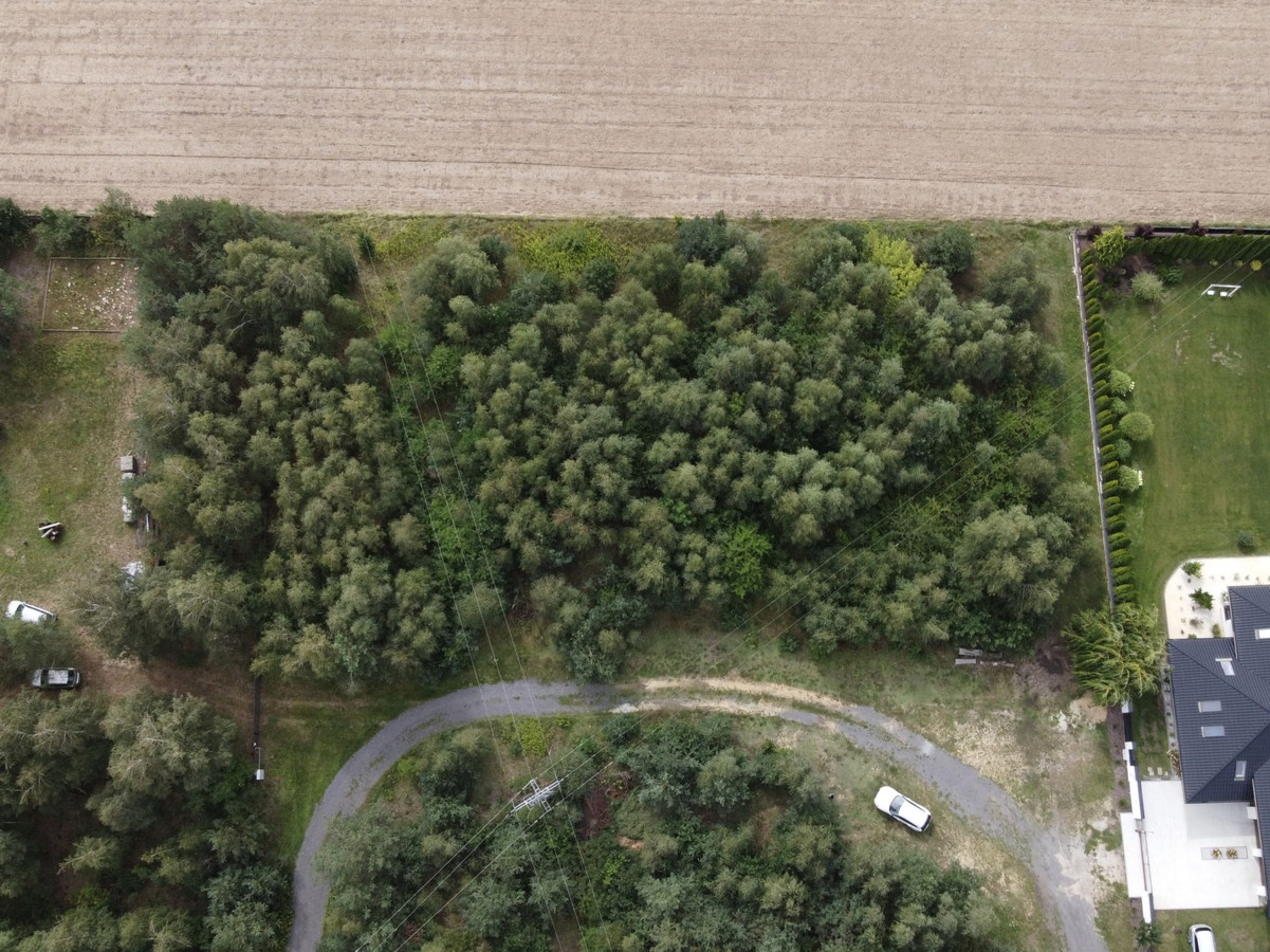 DZIAŁKA BUDOWLANA 2734 m² | MPZP | MEDIA | ZAŁUSKI | S7 - Więcej