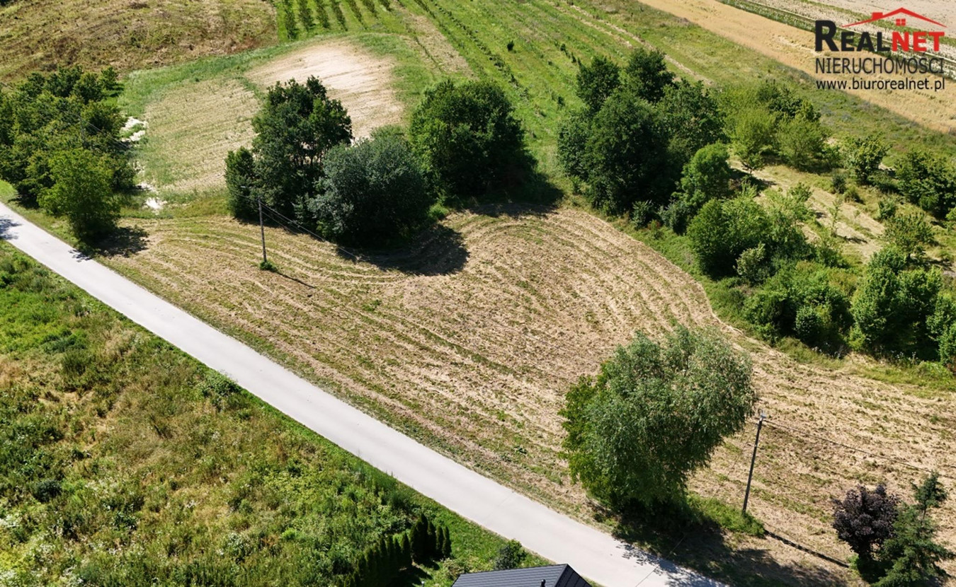 Działka budowlana 2875 m², Strzałków gm. Stopnica - Widok 4
