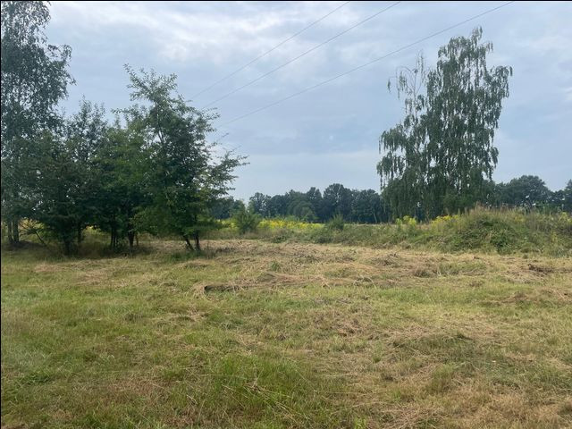 gratka-53/S/DZ/2026 - Więcej