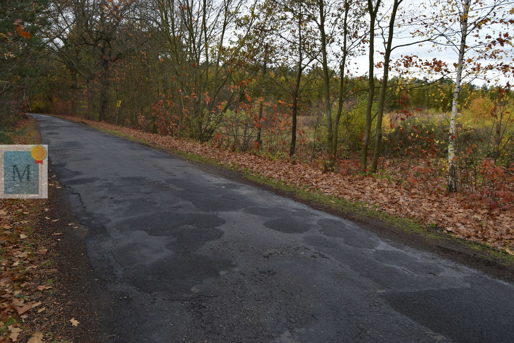 Działka,wieś Sterków,pod zabudowę 84ary,asfalt - Widok 5
