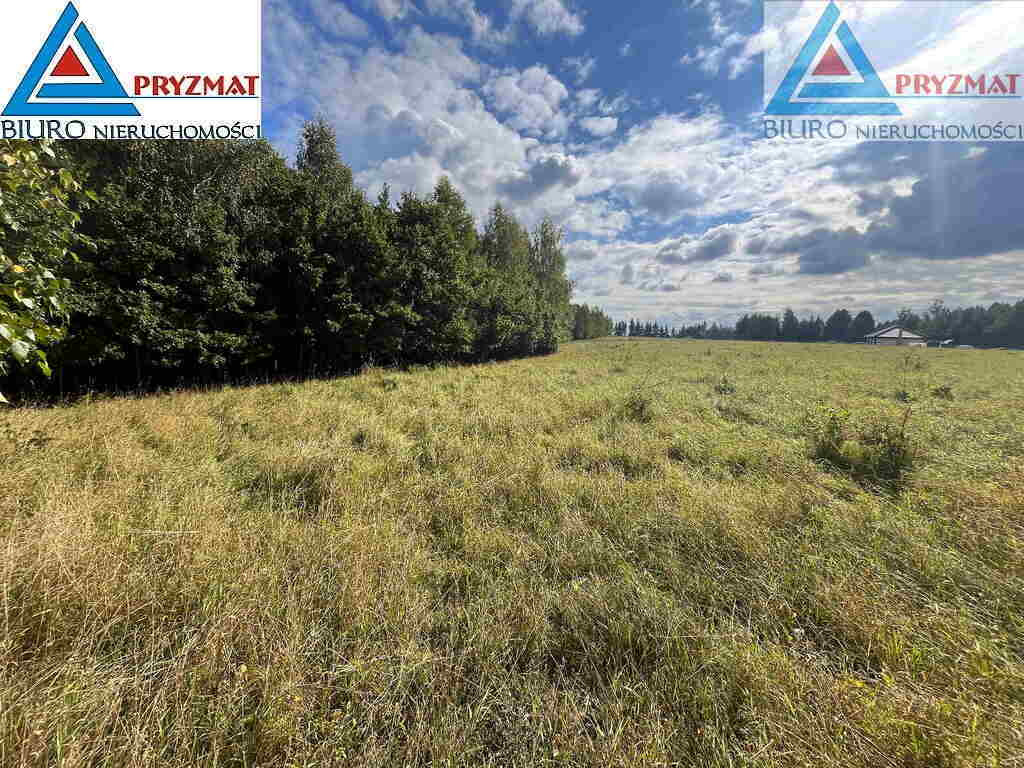 MARUNY - DUŻA DZIAŁKA Z WARUNKAMI ZABUDOWY - Widok 5