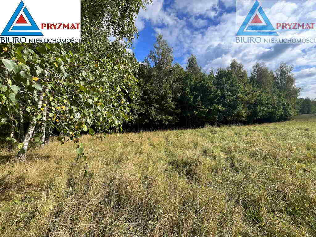 MARUNY - DUŻA DZIAŁKA Z WARUNKAMI ZABUDOWY - Więcej
