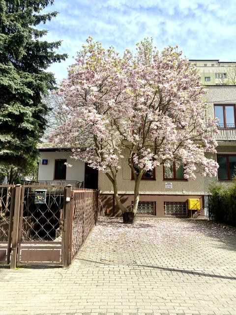 Dom – Warszawa, Mokotów - Widok 2
