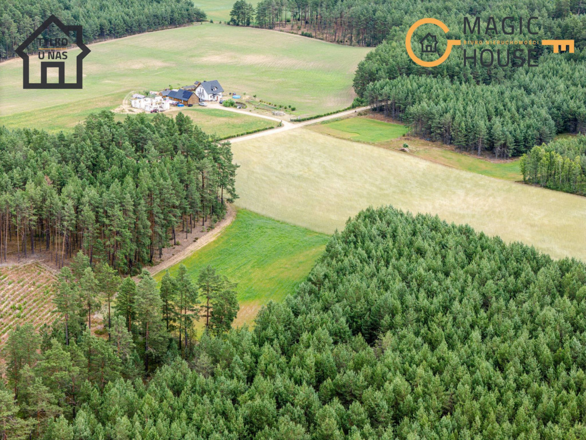 Działka 11,09 ha z mediami | blisko jeziora | Pomo - Widok 3