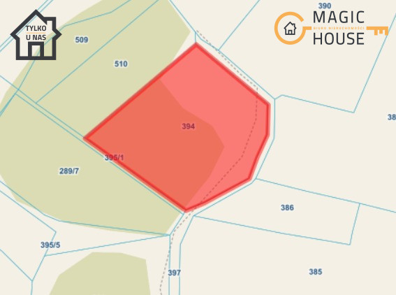 Tuszkowy, gmina Dziemiany | 26 działek | 30,38 ha - Widok 4