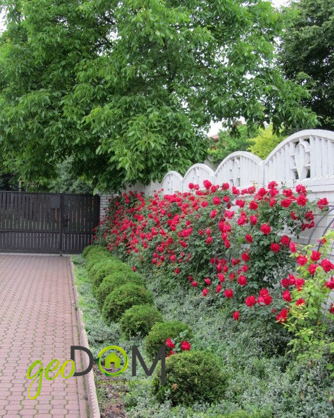 Dom – Chełm, Osiedle Na Klinie, Wolwinów - Widok 4