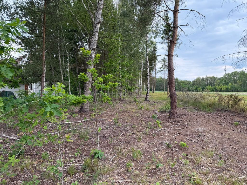 gratka-SGMIJU995 - Widok 5