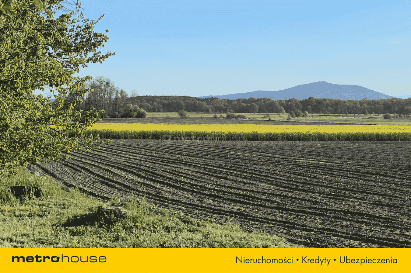gratka-SGHUPY707 - Widok 5