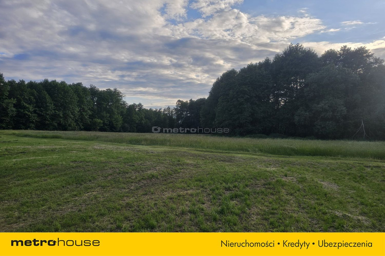 Działka rekreacyjną nad rzeką Rawka - Widok 2