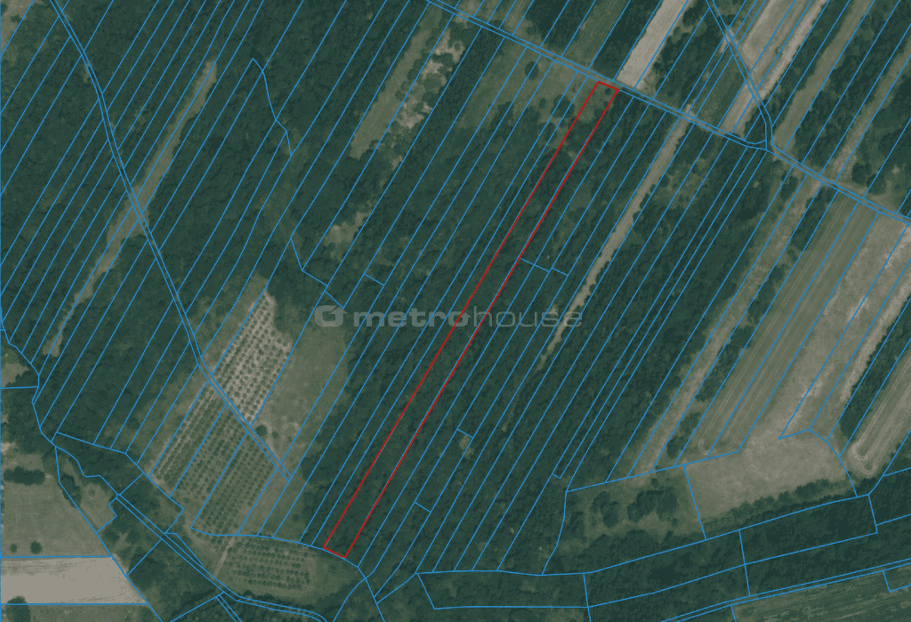 Tokë, 5000 m²