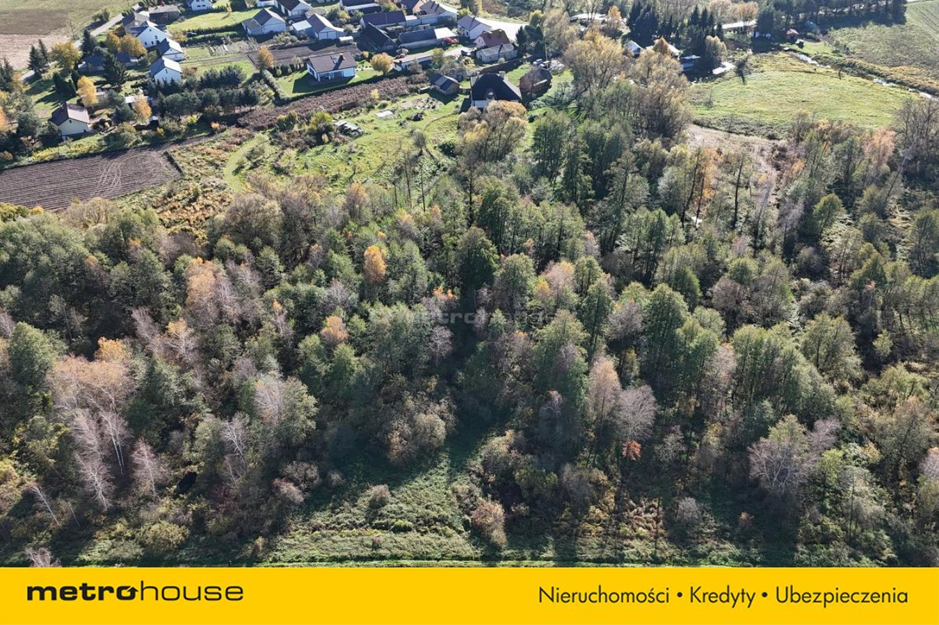4 działki 3200 m² Żytnia gm. Siedlce - Widok 5