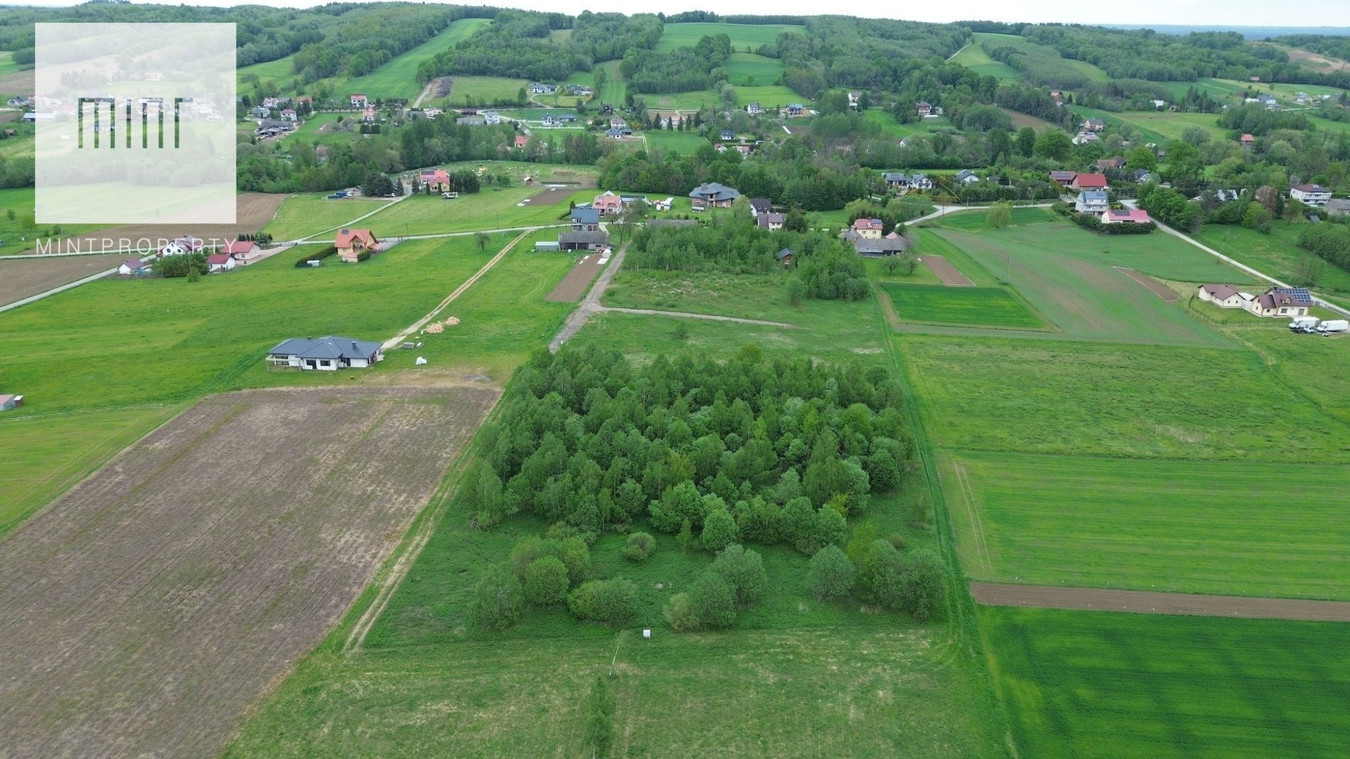 gratka-24262 - Widok 5