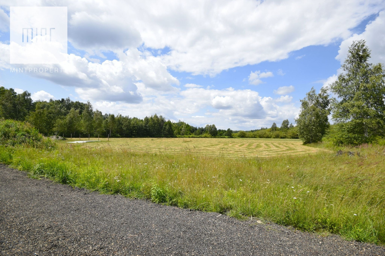 gratka-23557 - Widok 4