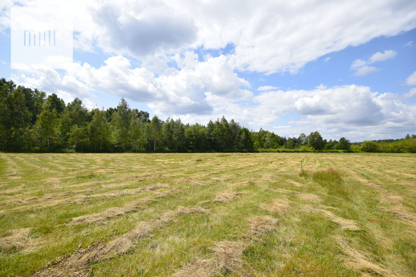 gratka-23557 - Widok 2