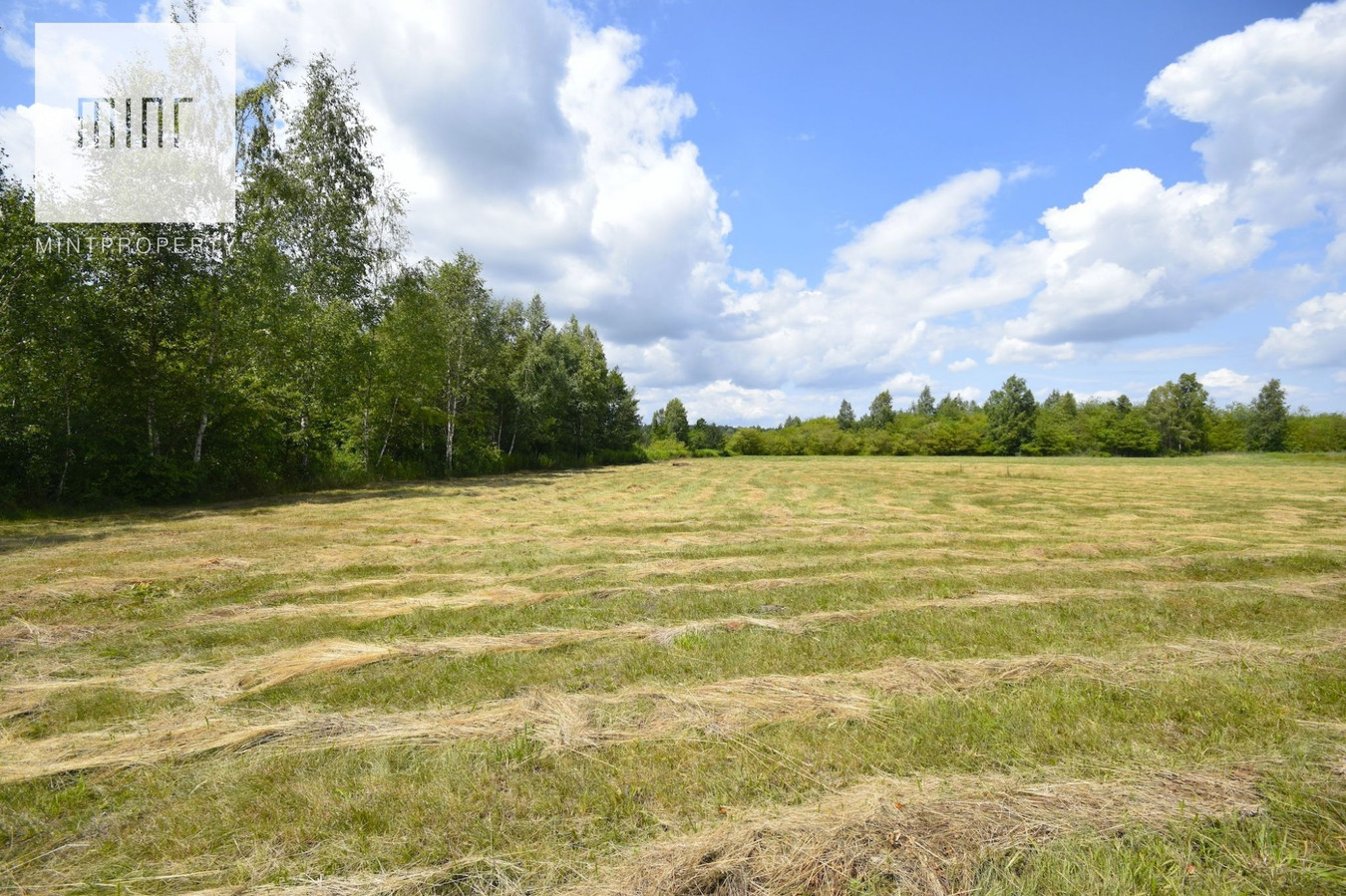 gratka-23557 - Widok 3