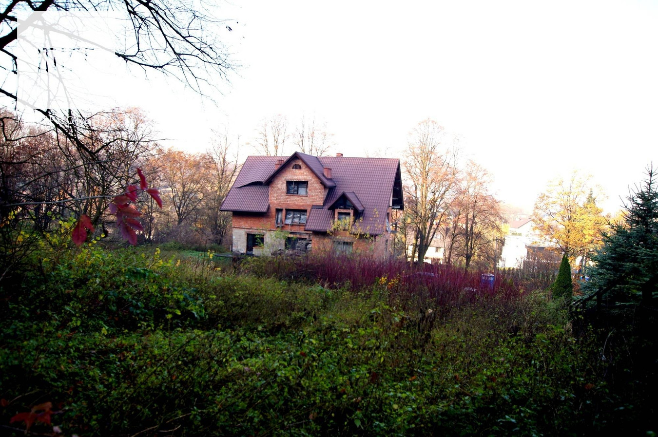 gratka-10741