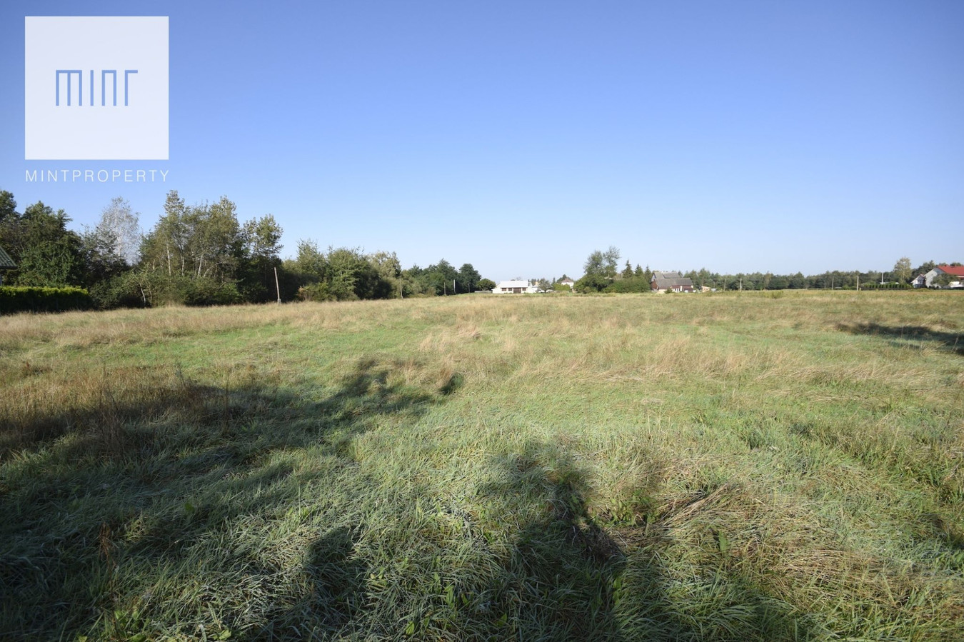 gratka-20719 - Widok 2