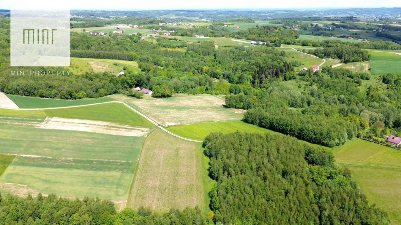gratka-22930 - Widok 2