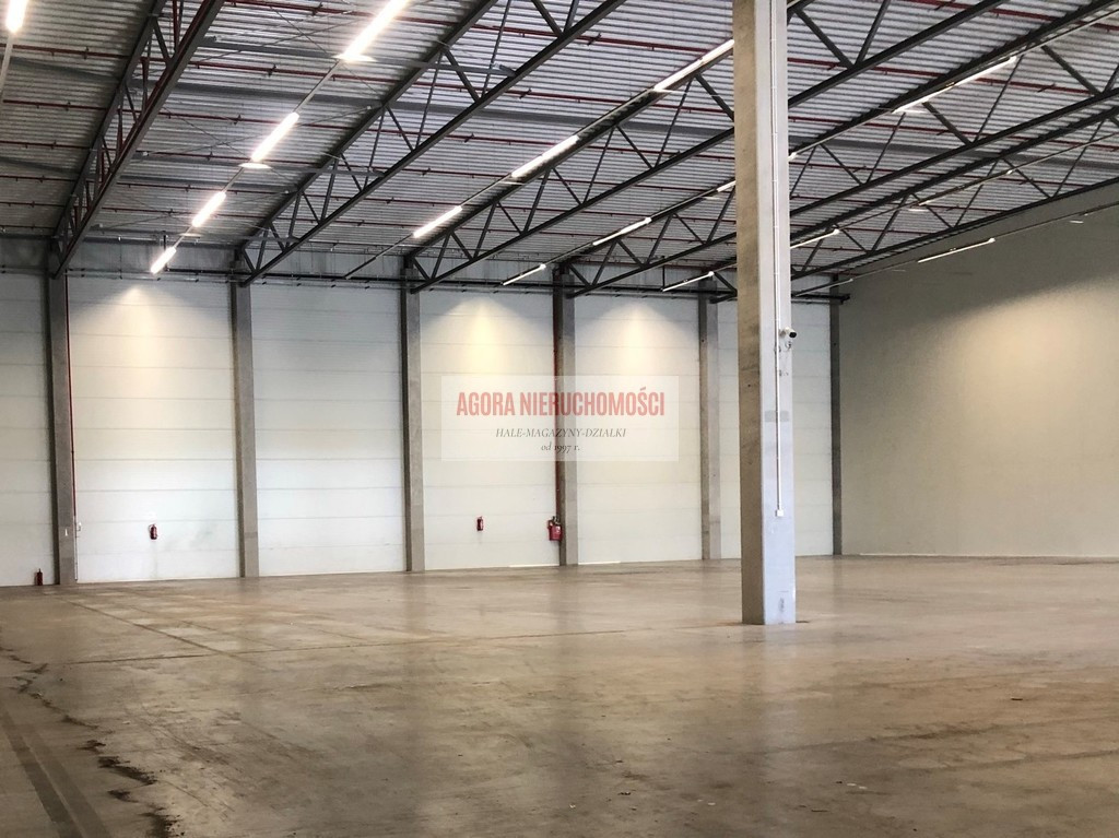 HALA MAGAZYN 1864 m² + BIURO 214 m² BALICE TIR ENG - Widok 3