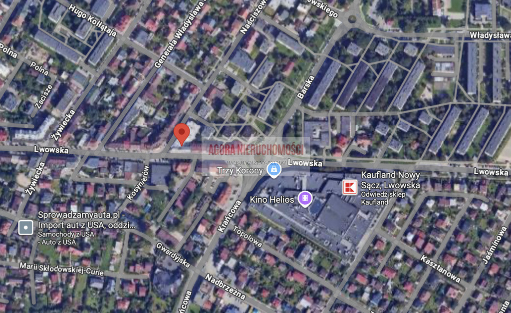 Lwowska 59 lokal usług. PARTER z witryną 220 m² - Widok 3