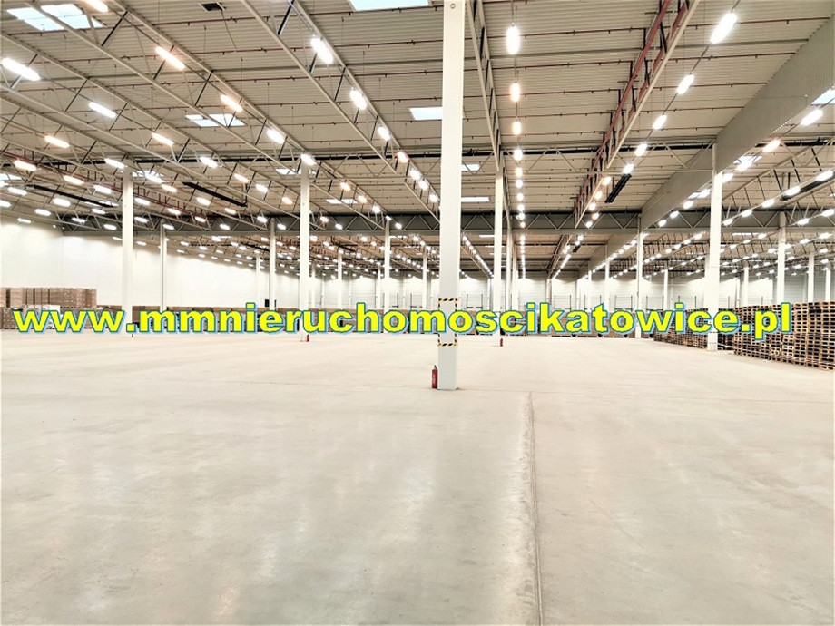 Magazyny z opcją obsługi od 200 do 10.000 m² Będzin - 0% PROWIZJI - Widok 2