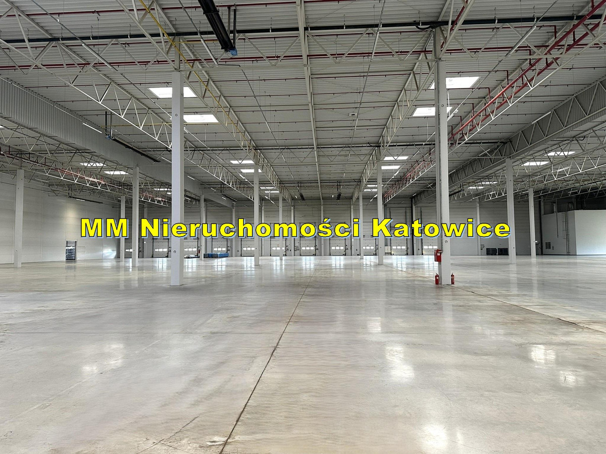 Hale do wynajęcia do 13.000 m² różne powierzchnie Ruda Śląska - Widok 4
