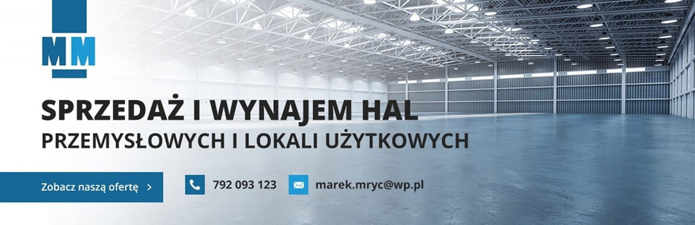 Hala do wynajęcia Katowice doki brama poziom 0 biura socjal - 0% PROWIZJI - Widok 4