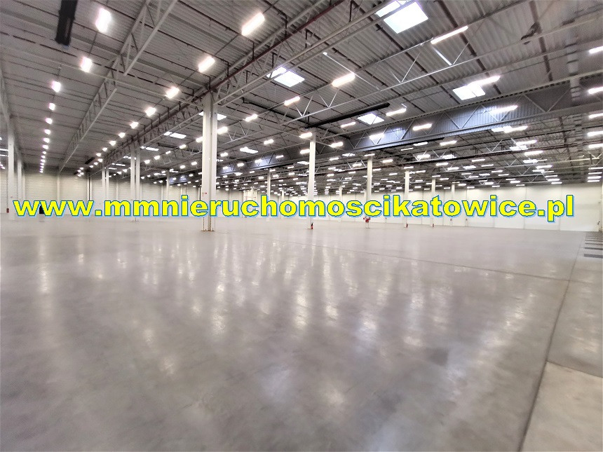 Magazyny z opcją obsługi od 200 do 10.000 m² Będzin - 0% PROWIZJI - Widok 3