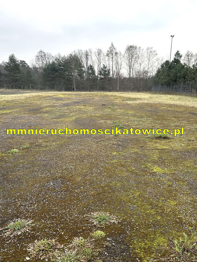 Działki utwardzone z mediami do 6.000 m² do wynajęcia Jaworzno przy A4 i S1 - Widok 2
