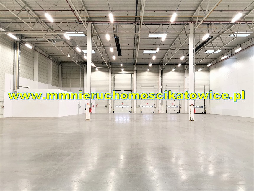 Magazyny z opcją obsługi od 200 do 10.000 m² Będzin - 0% PROWIZJI - Widok 4