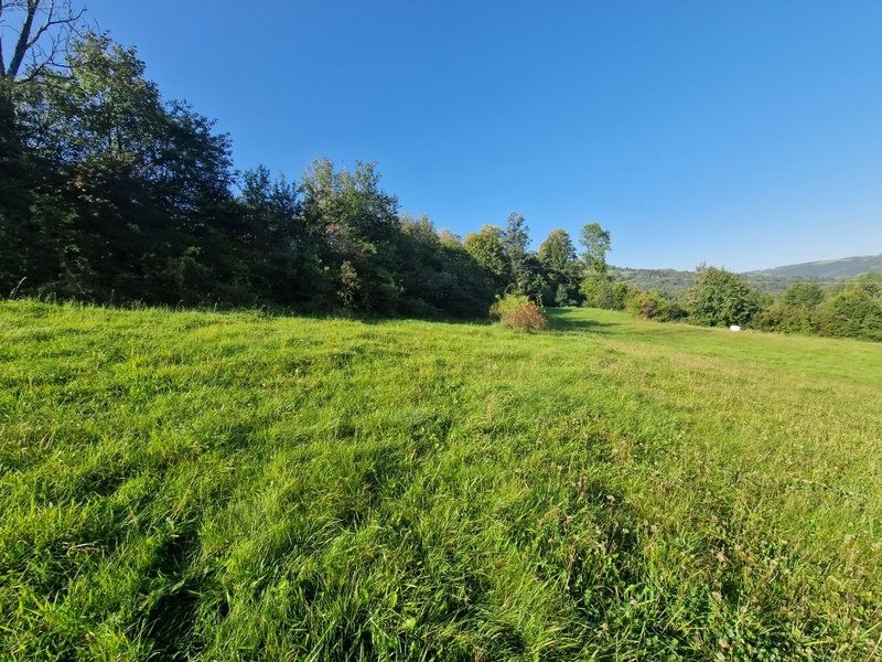 gratka-SBK-GS-20319 - Widok 2