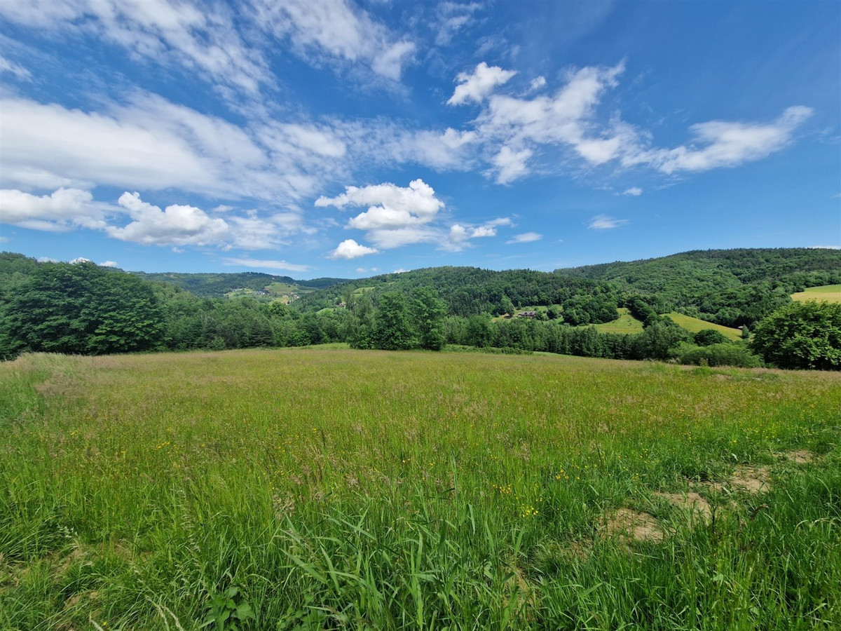 gratka-SBK-GS-20318 - Widok 4