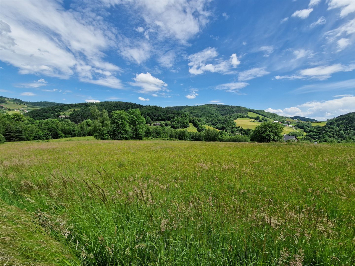 gratka-SBK-GS-20318 - Widok 5