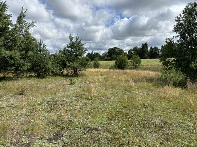 Piękna działka nad Jez. Orzechowo - Widok 5