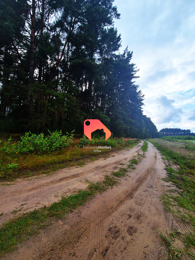 DZIAŁKA Z WŁASNĄ DROGĄ NEKLA 1265M2 BUDOWLANA - Widok 5
