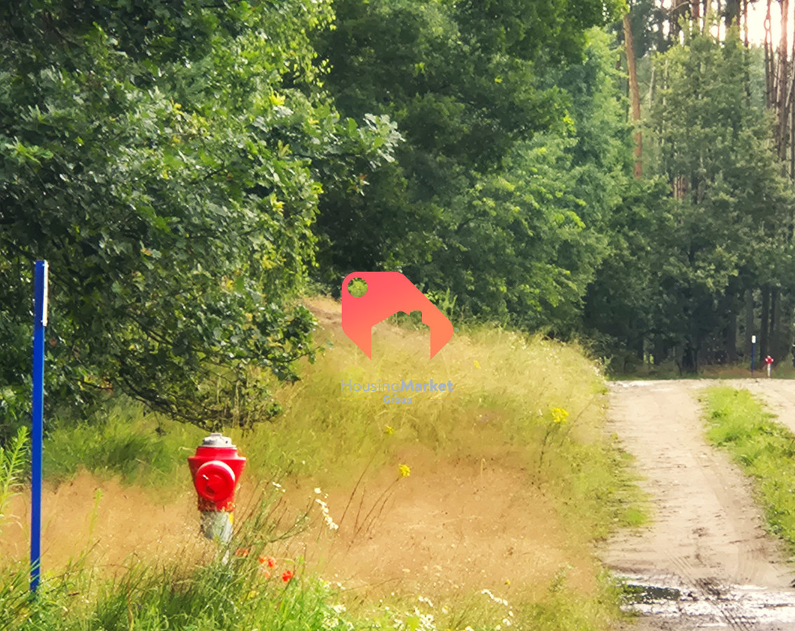 DZIAŁKA Z WŁASNĄ DROGĄ NEKLA 1265M2 BUDOWLANA - Widok 6
