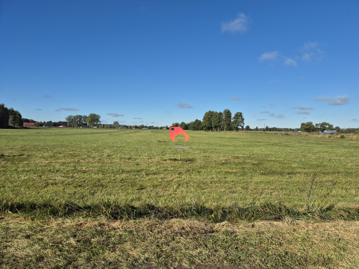 ŚWIETNA INWESTYCJA 8 DZIAŁEK W CENIE 5 DOBROMIERZ - Widok 5