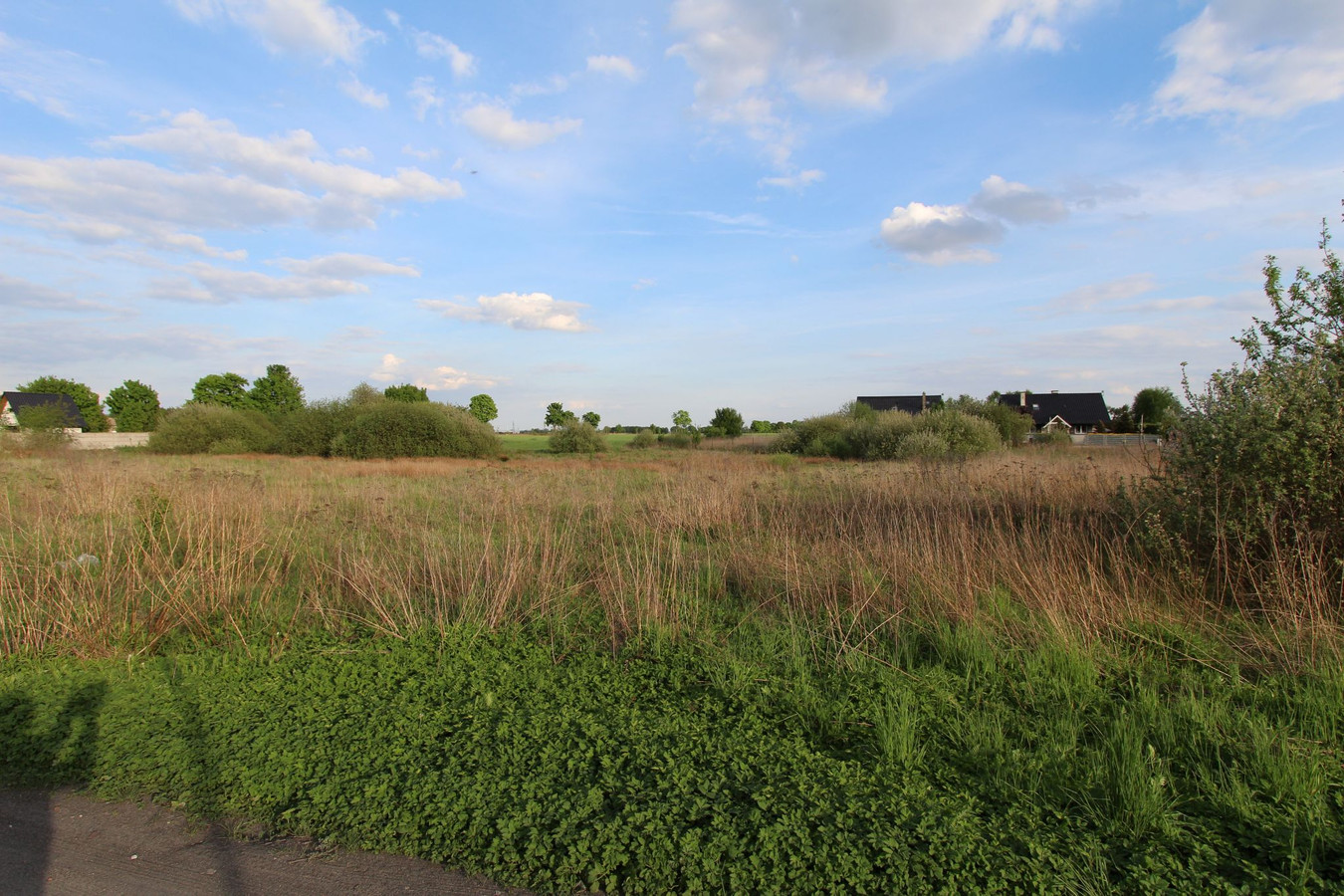 Działka 1665 m² BIAŁA (gm. Trzcianka) - Więcej